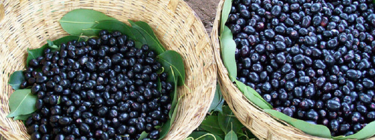 blackberry
