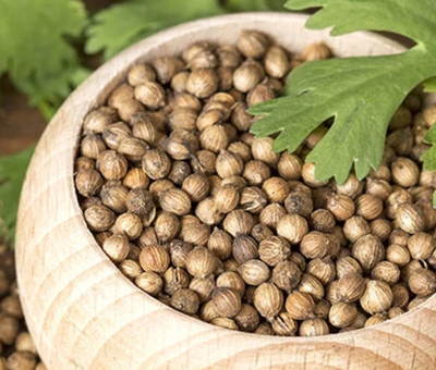 Coriander Seeds