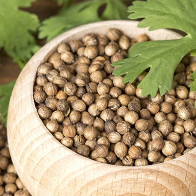 Coriander Seeds