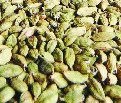 cardamom