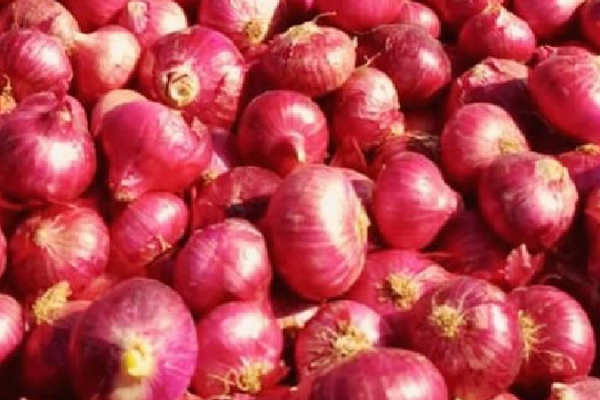 Indian Onion Exporters Struggle as Bangladesh Crisis Worsens onion