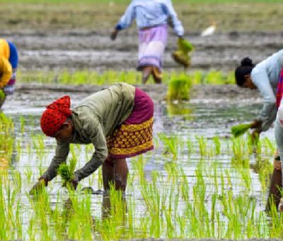 Dhan-Dhaanya Krishi Yojana