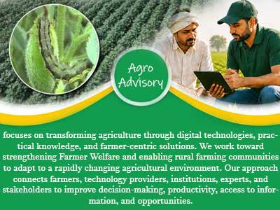 Agro Food Busines - Agro Advisory