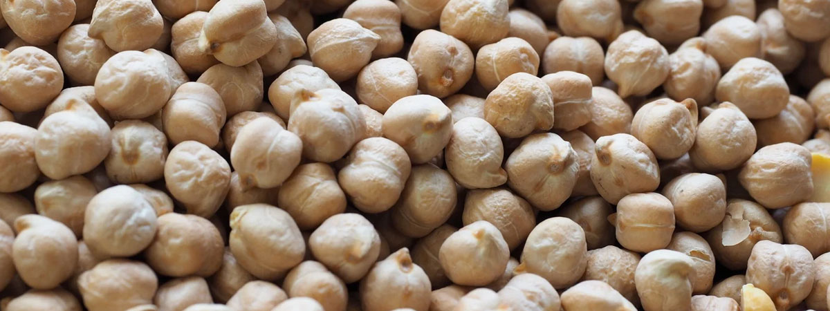 Indian Kabuli Chana
